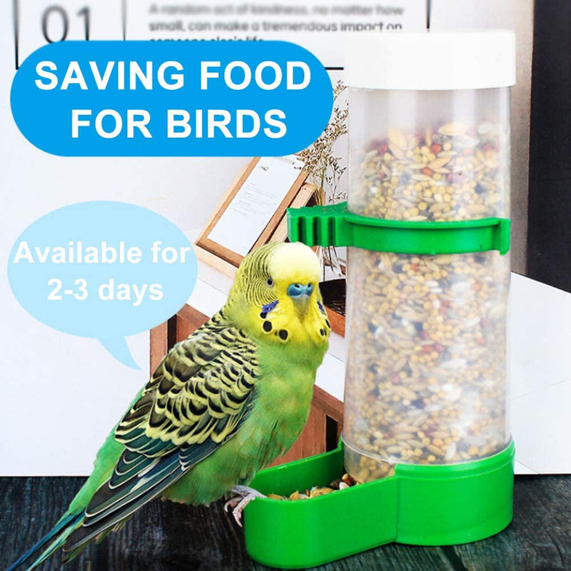 Automatic Bird Feeder & Water Dispenser