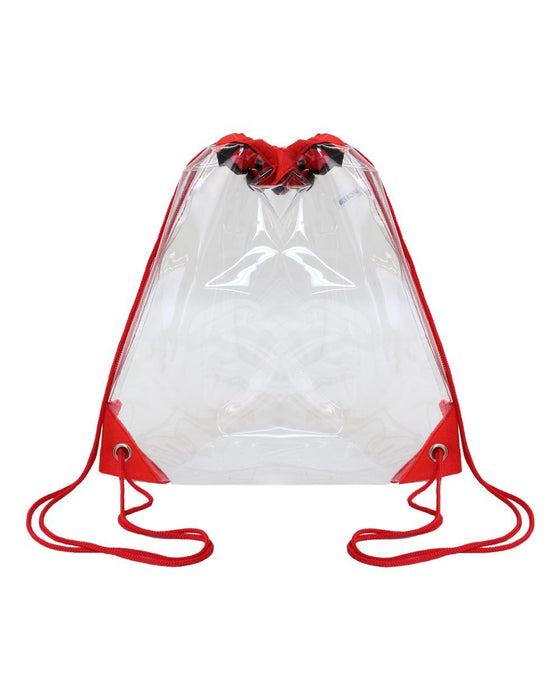Transparent Backpack