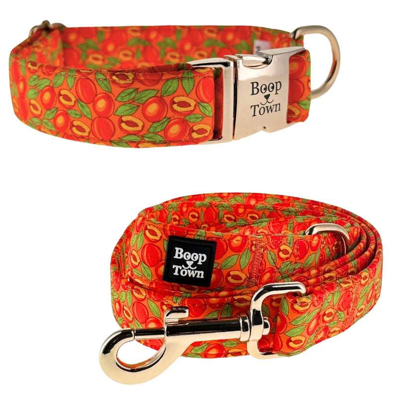 Peaches Collar + Leash Set