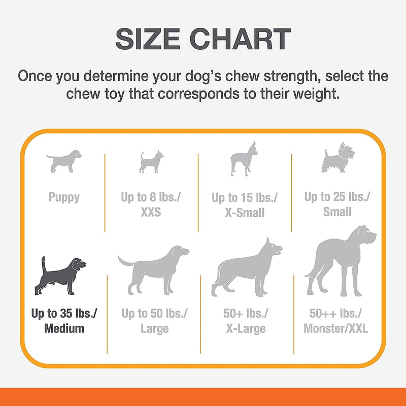 Flavor Frenzy Strong Chew Dog Toy Bacon Cheeseburger