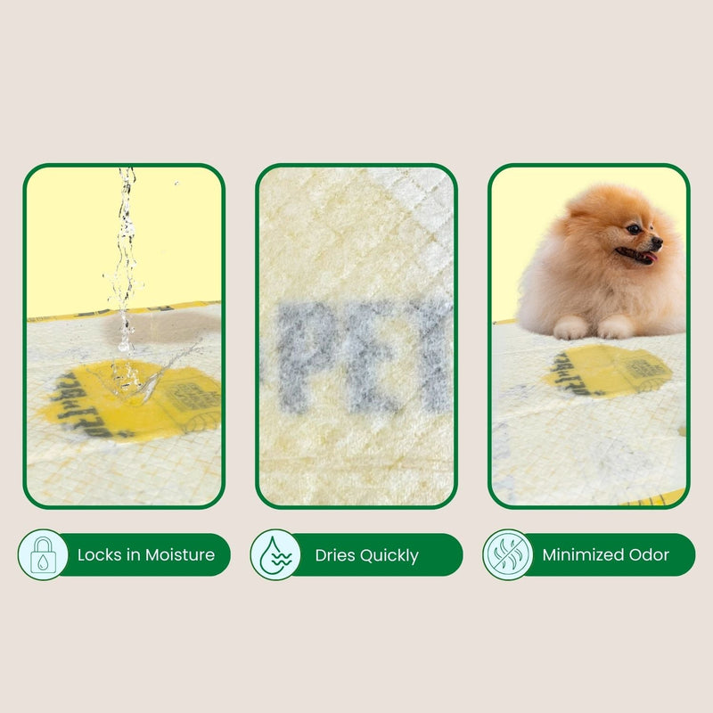 Pee Pads for Dogs