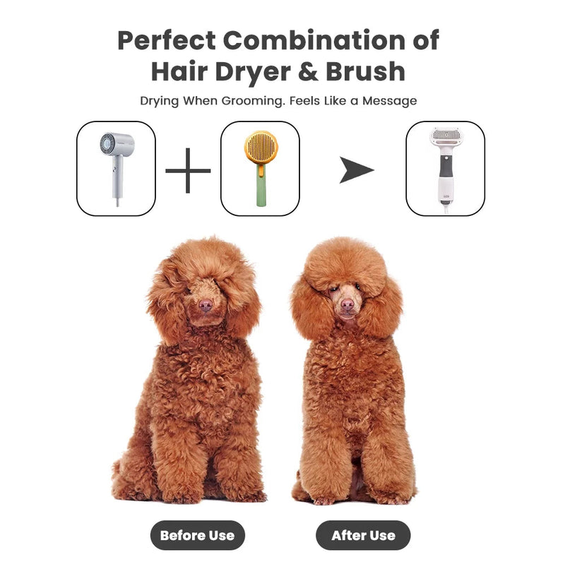 Pet Grooming Dryer for Small Dog and Cat