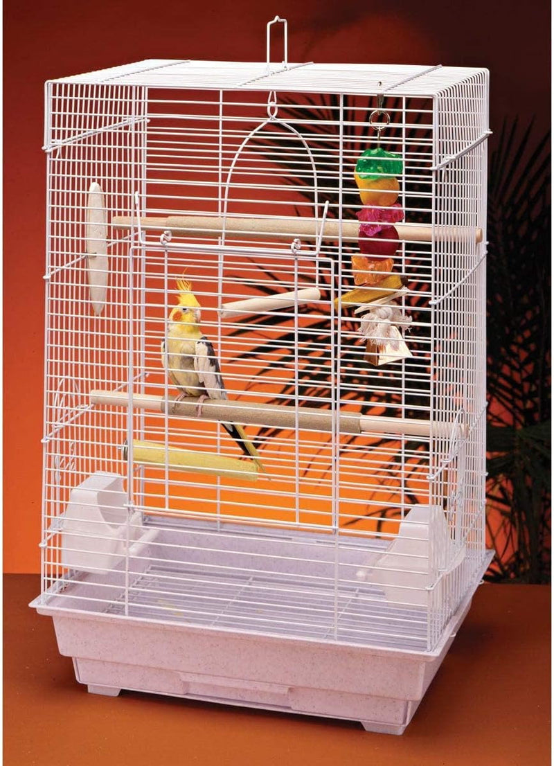 Cockatiel & Small Parrot Starter Kit with Birdcage, Cover, and Accessories β Perfect for Cockatiels, Conures, and Small Parrots β Square Dome β White