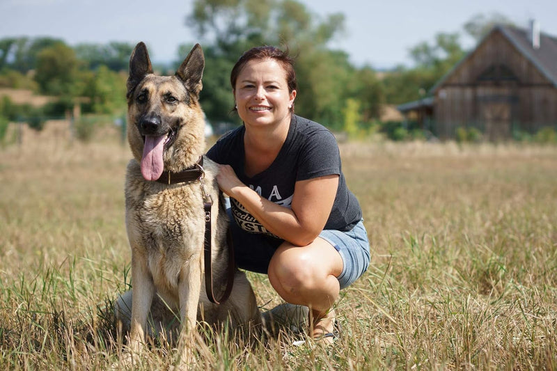 Leather Dog Training Leash - Brown 6 Foot
