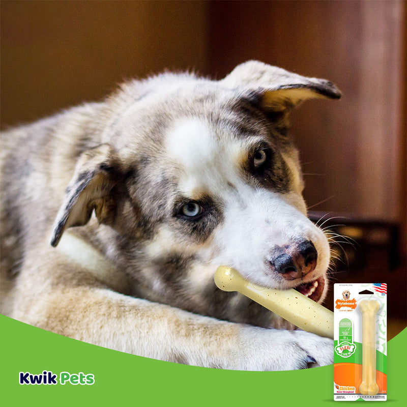 Flexichew Dental Bone Giant Size Chicken Flavored Toy for Large Dogs