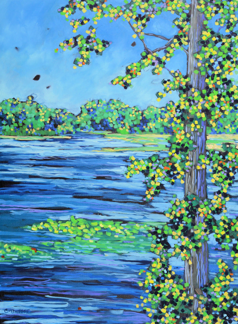 "Grand River Waterway" Oil Painting on Canvas. Artist Christi Dreese