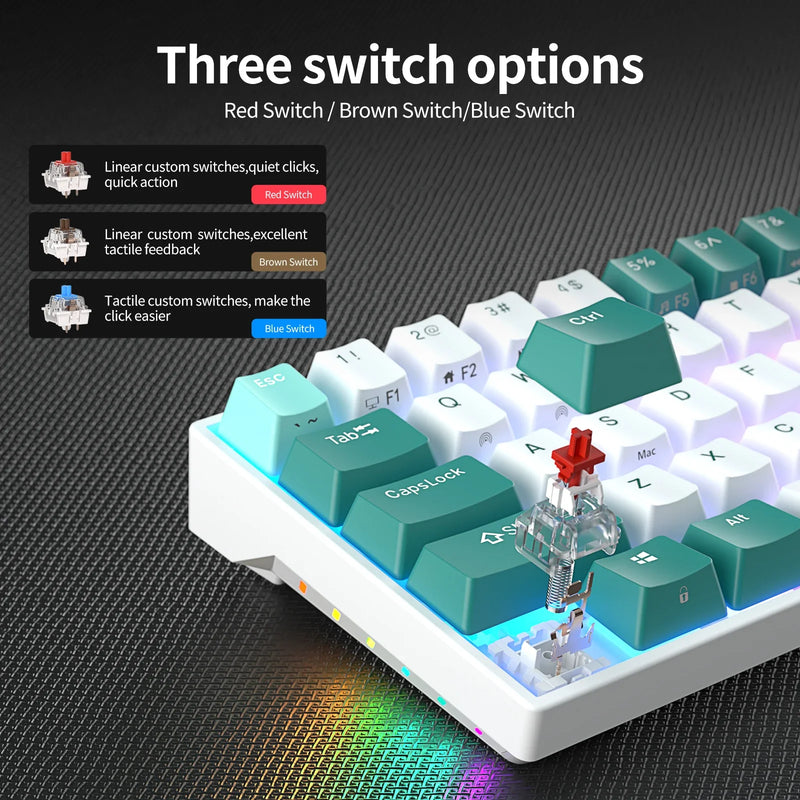 Tri-mode Mechanical Keyboard