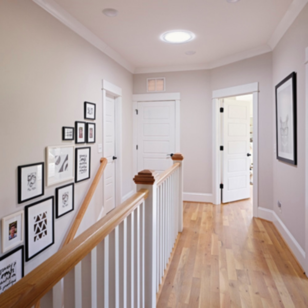 14 in. Curb Mount Rigid Sun Tunnel Skylight with Wildfire Glass