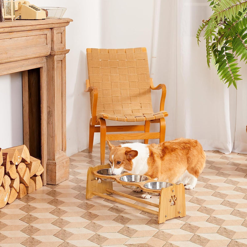 Elevated Dog Bowls for Cats and Dogs