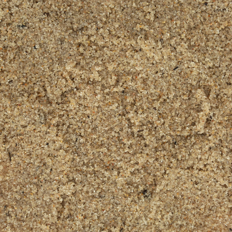 All- Natural Beach Sand Substrate for Hermit Crabs
