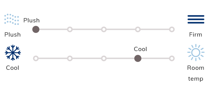 ChiroPro Hybrid Plush Mattress