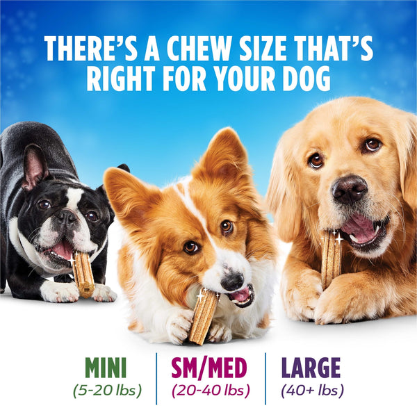 Animals & Pet Supplies
