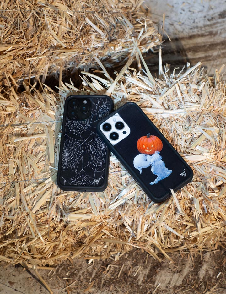 Itsy Bitsy Spider iPhone Case