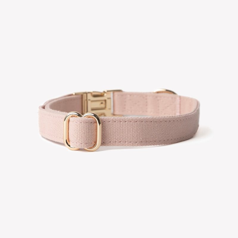 'Powder Rose' - Canvas Dog Collar