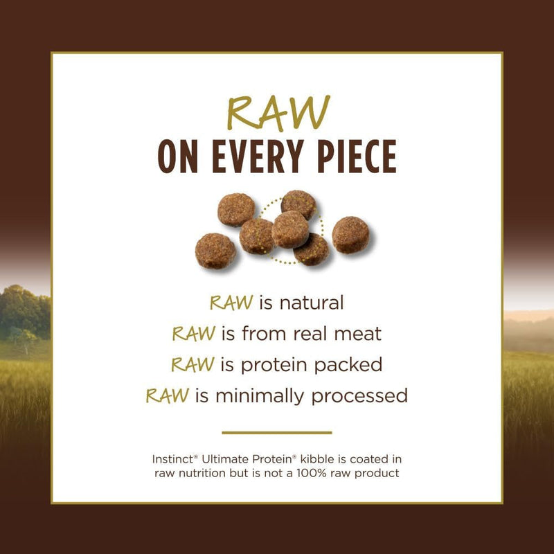 Natural Dry Cat Food, 10 Lb. Bag