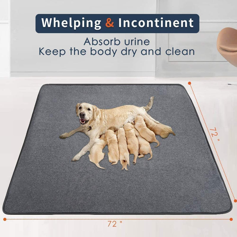 Washable Pee Pads for Dogs