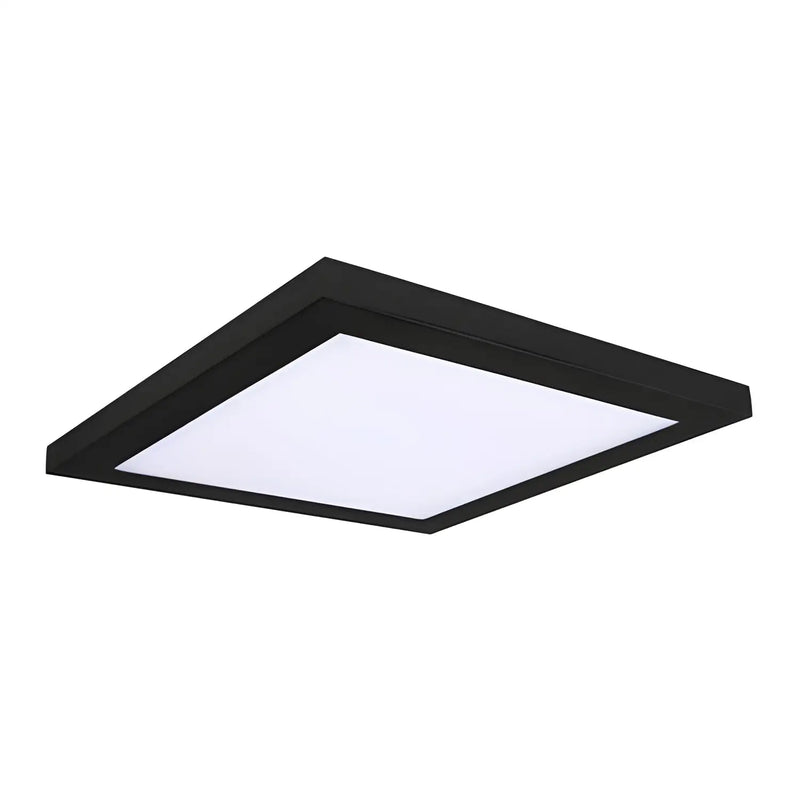 10" 30W LED Platter Ceiling Light Fixture | 120V