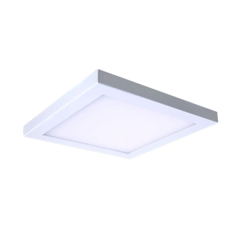 10" 30W LED Platter Ceiling Light Fixture | 120V