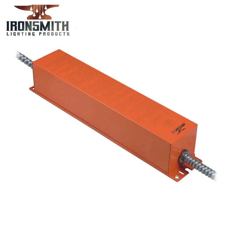 100-277V AC - 12-48V DC | 12W LED Emergency Driver