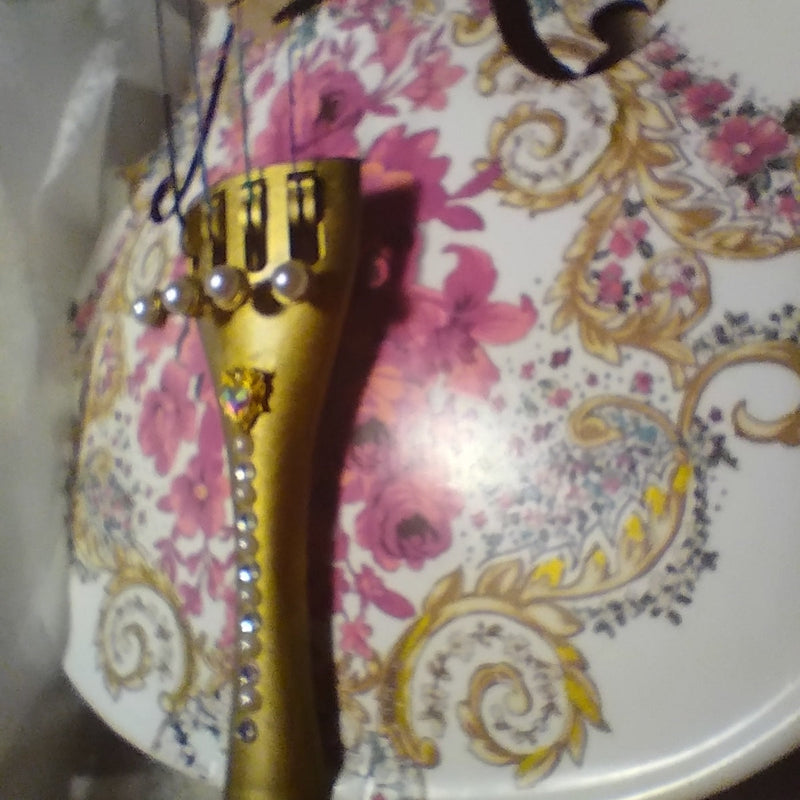 Gilded Age Violin Outfit