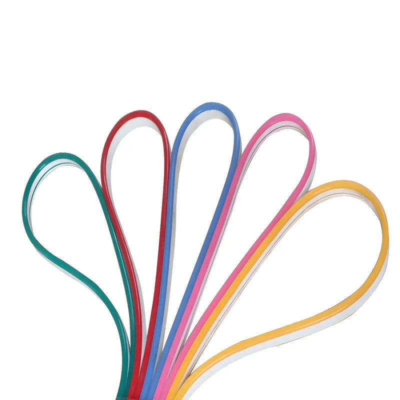 12V Silicone Low Voltage LED Strip Light – Flexible Neon Lighting