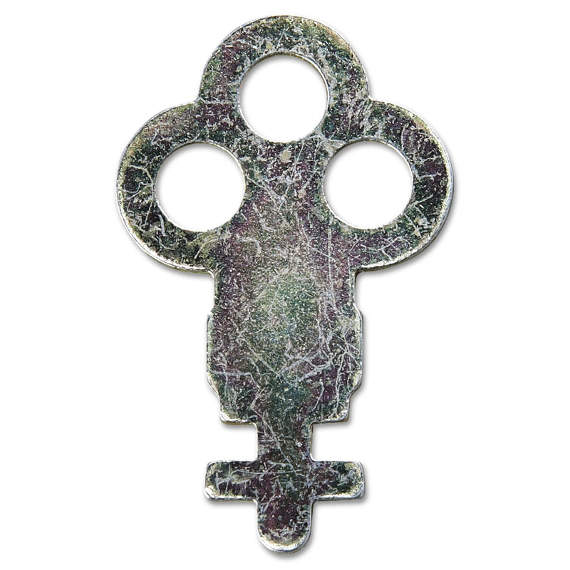 San Jamar Key for Metal Toilet Tissue Dispensers: T800, T1905, T1900, T1950, T1800, R1500