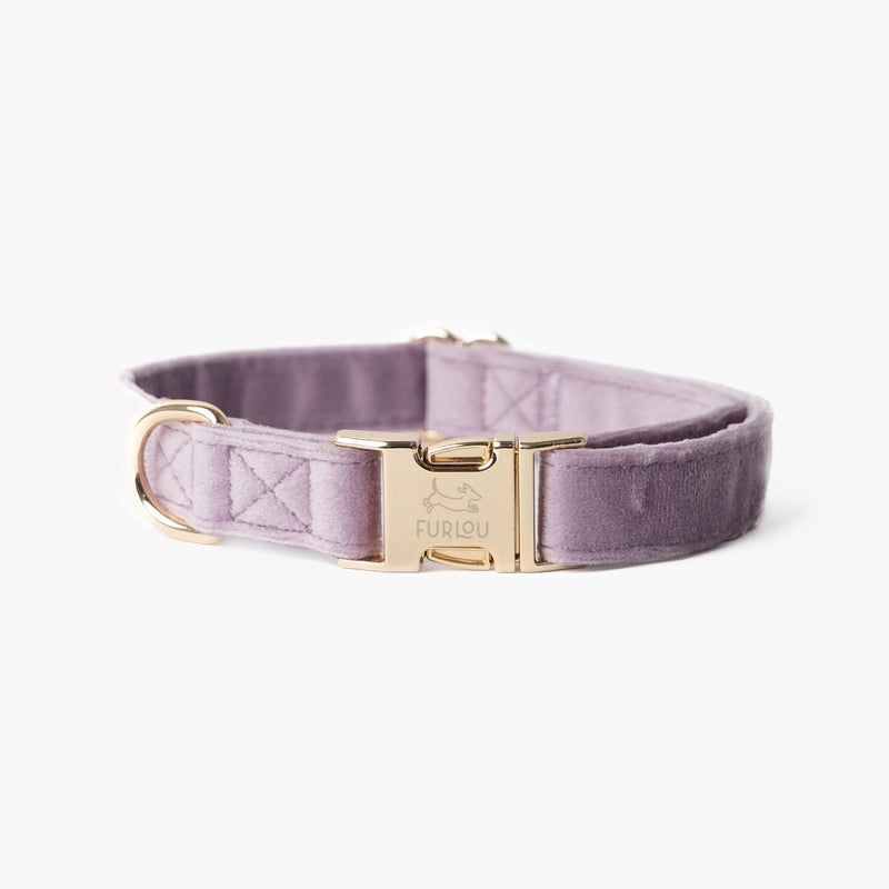 'Lilac' - Velvet Dog Collar