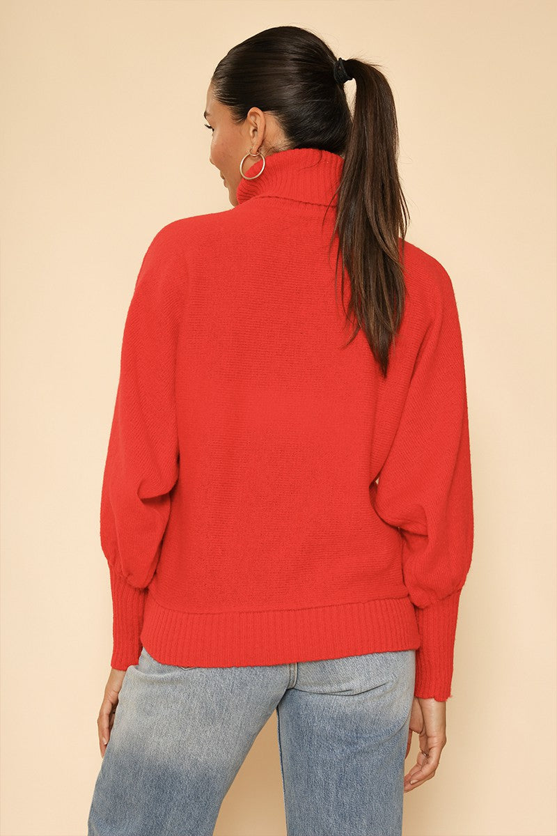 Turtleneck holiday sweater