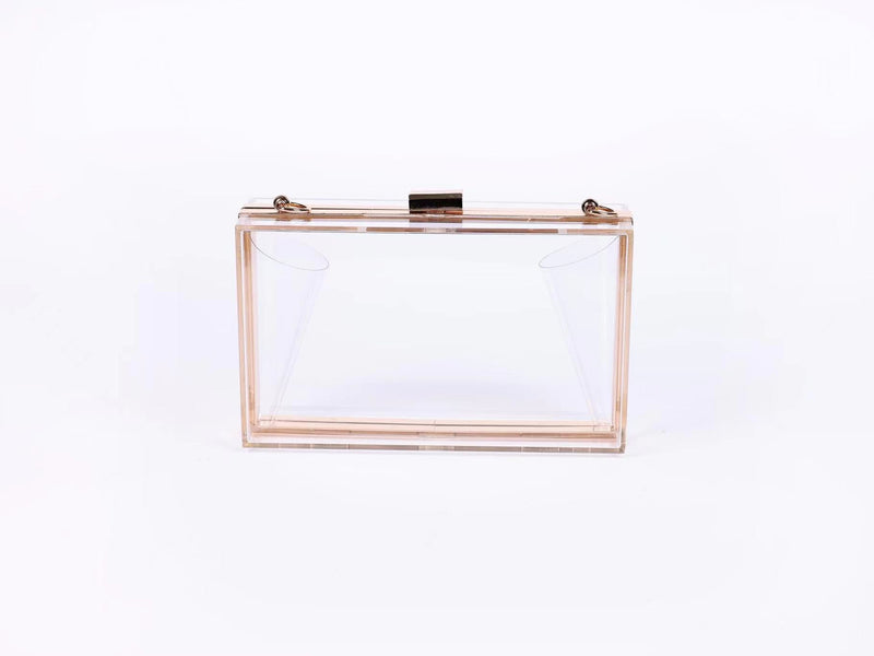 Clear Acrylic Purse