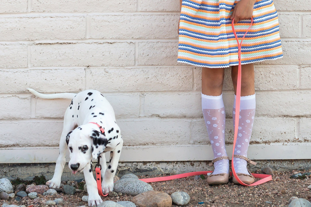 Waterproof Coral Reef Super Soft PVC Dog Leash