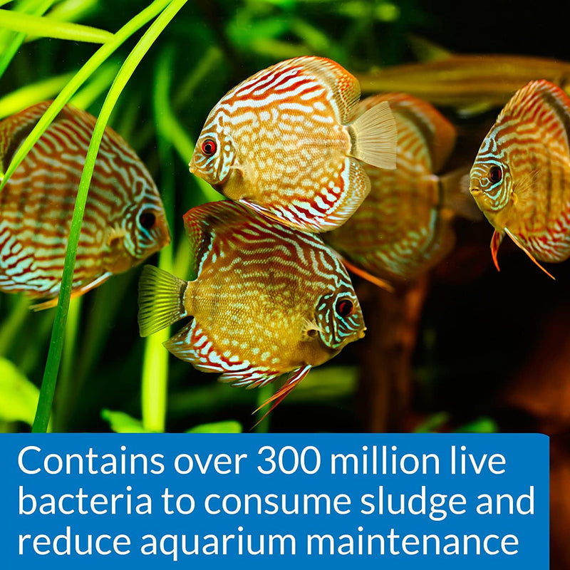 STRESS ZYME Freshwater and Saltwater Aquarium