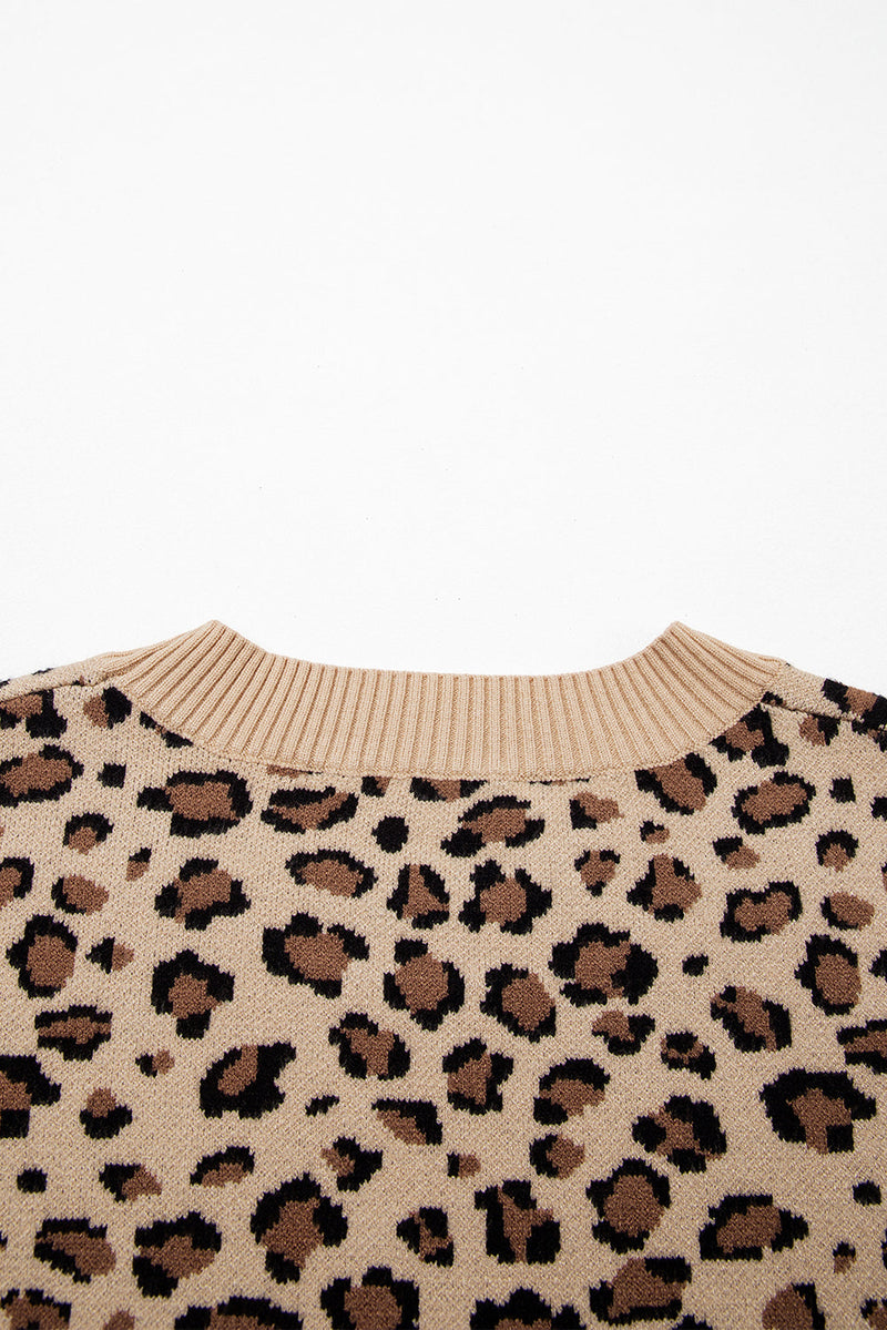 Isabela Print Dolman Sleeve Sweater