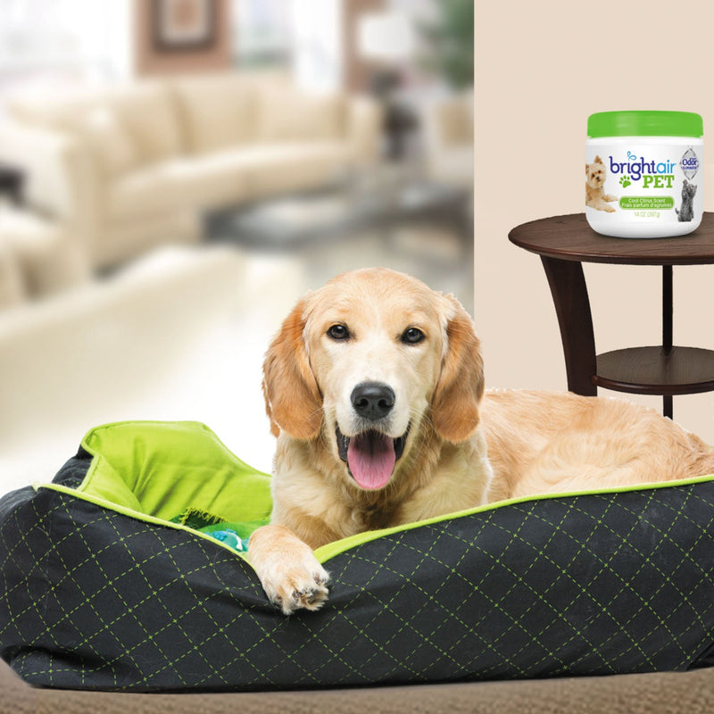 BRIGHT Air Pet Odor Eliminator, Cool Citrus, 14 oz Jar, 6/Carton