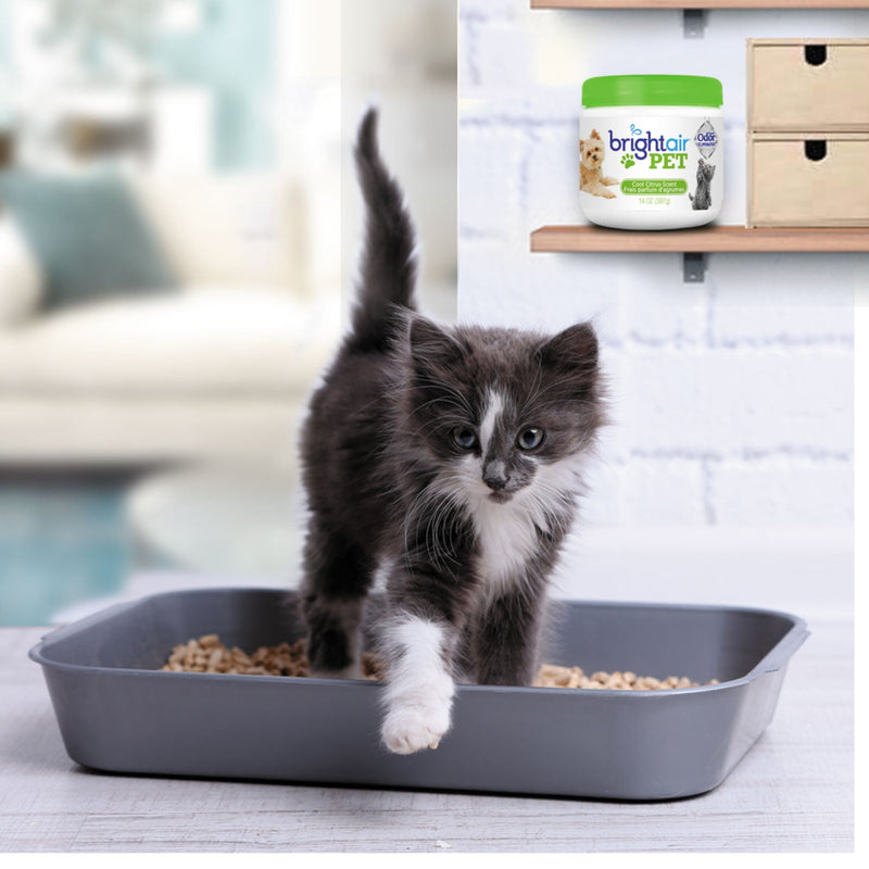 BRIGHT Air Pet Odor Eliminator, Cool Citrus, 14 oz Jar, 6/Carton