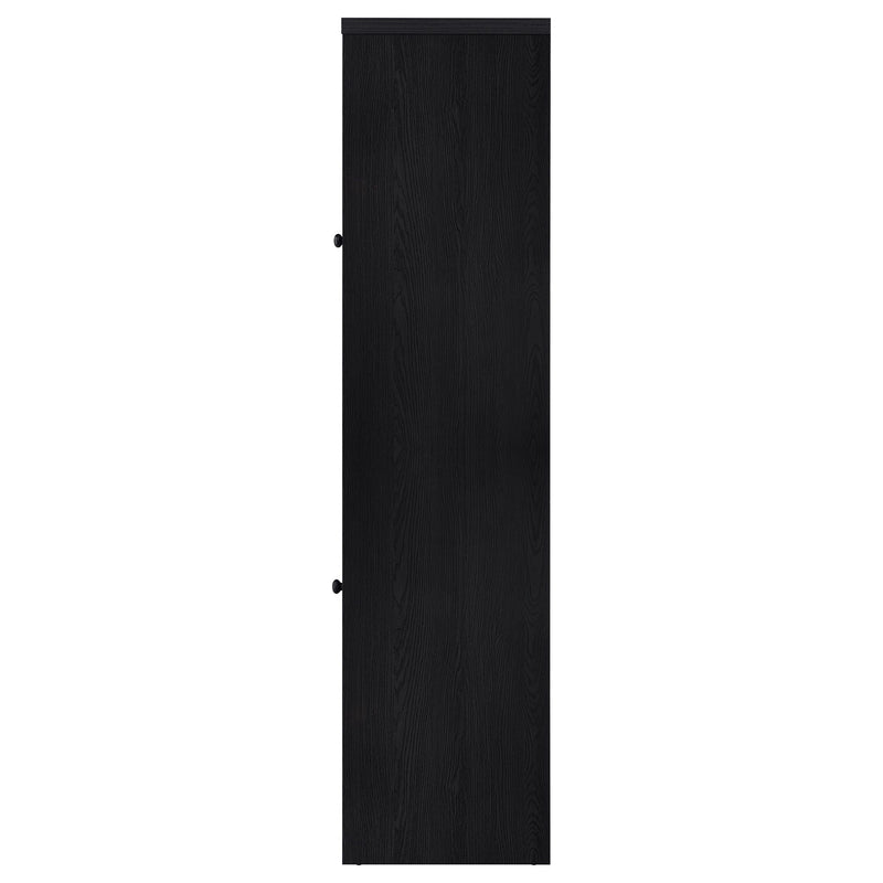 Denison 67-inch 2-door Media Tower Storage Cabinet Black