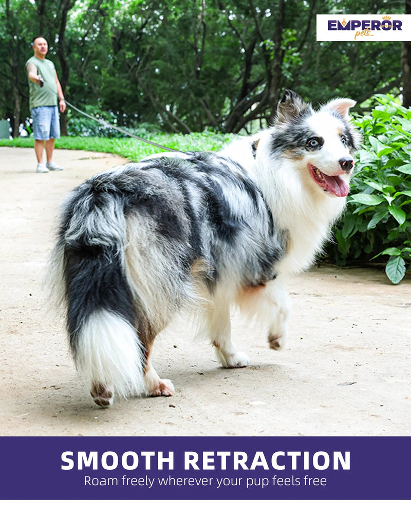 Unleash Adventure! 🌟 16ft Heavy-Duty Retractable Leash for Large Dogs (up to 110lbs) 🐾