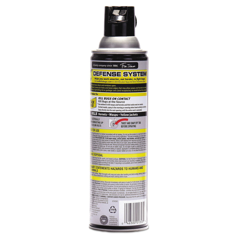 Raid Wasp and Hornet Killer, 14 oz Aerosol Spray