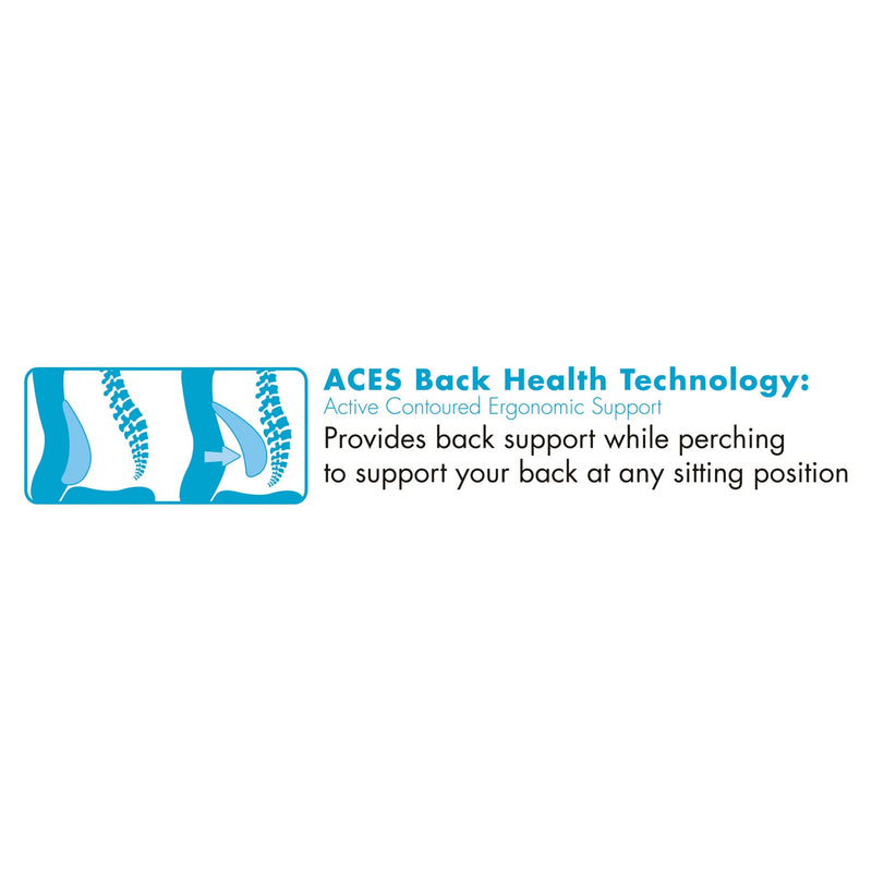 SertaPedic Cosset Ergonomic Task Chair, Supports Up to 275 lb, 19.5" to 22.5" Seat Height, Gray Seat/Back, Black Base