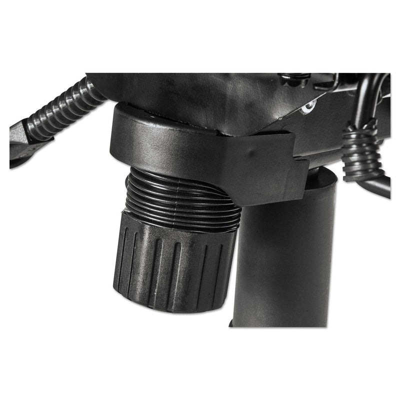 Alera Transitional Series Executive Wood Chair, Up to 275 lb, Chocolate Marble Bonded Leather Seat/Back, Walnut Wood Base