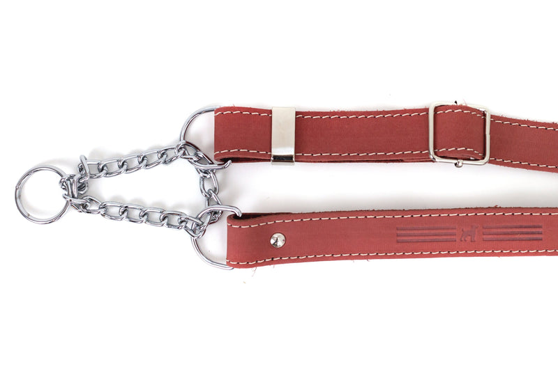 Martingale Coral Reef Leather Dog Collar