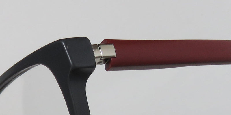 Safilo 1079 Eyeglasses