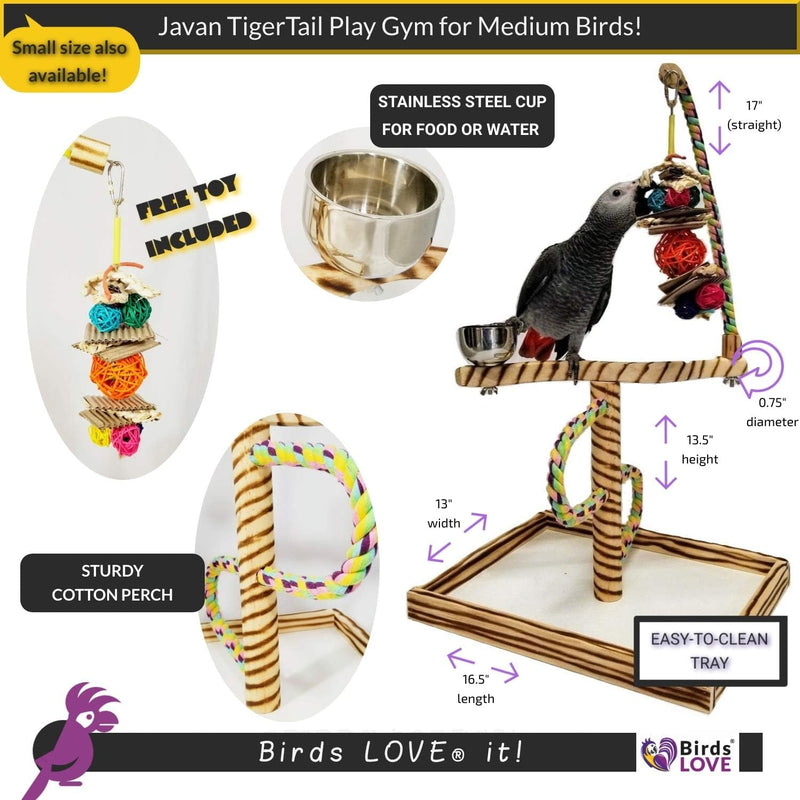 Bird Play Gym Tabletop W Cup, Toy Hanger and Toy,  Javan Tigertail Stand- Large