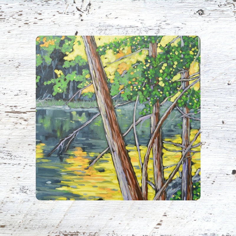 Coaster/ Trivet/ Magnet: Natural Wonder