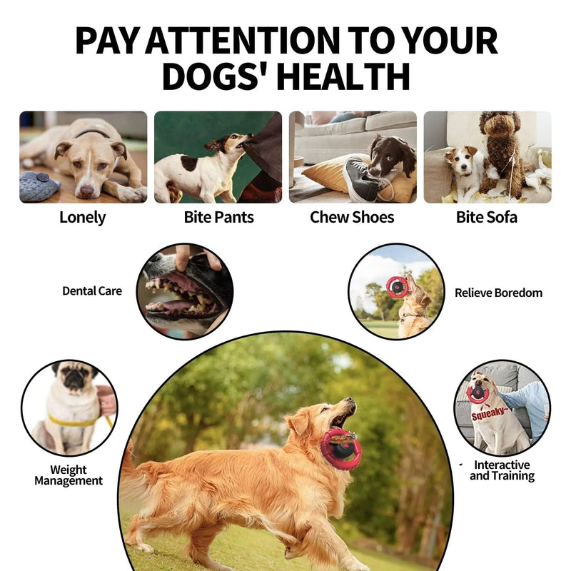 Extreme Tough Dog Chew Toys for Aggressive Chewers