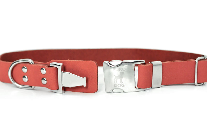 Modern Style Quick-Release Coral Reef Leather Dog Collar