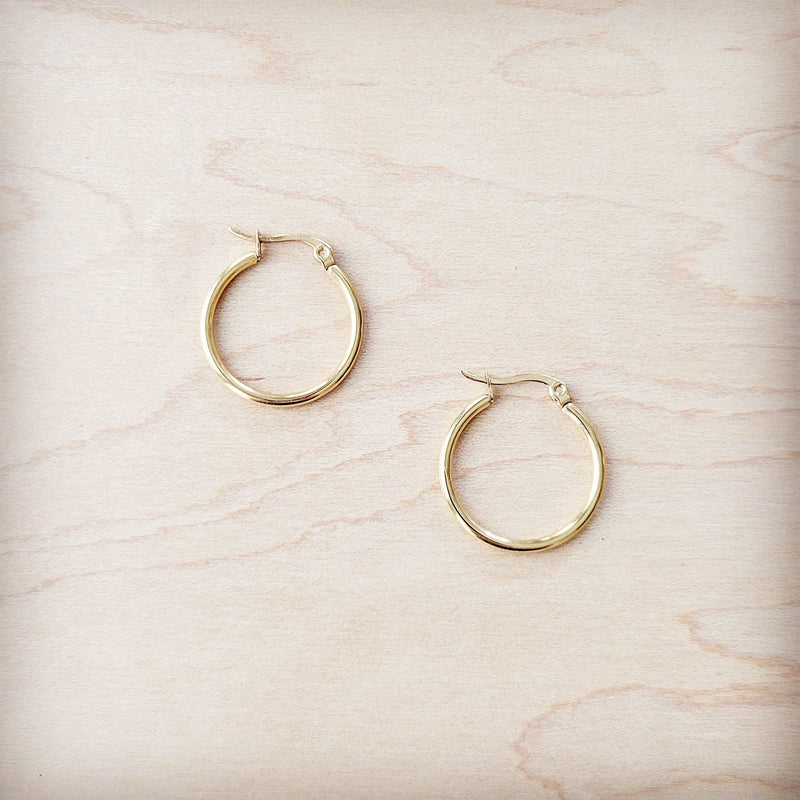 Small Stainless Steel Hoop Earrings 18K Gold Plating 219a