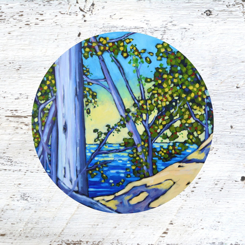 Rubber Grip Jar Opener - Rosy's Outlook. Lake Michigan