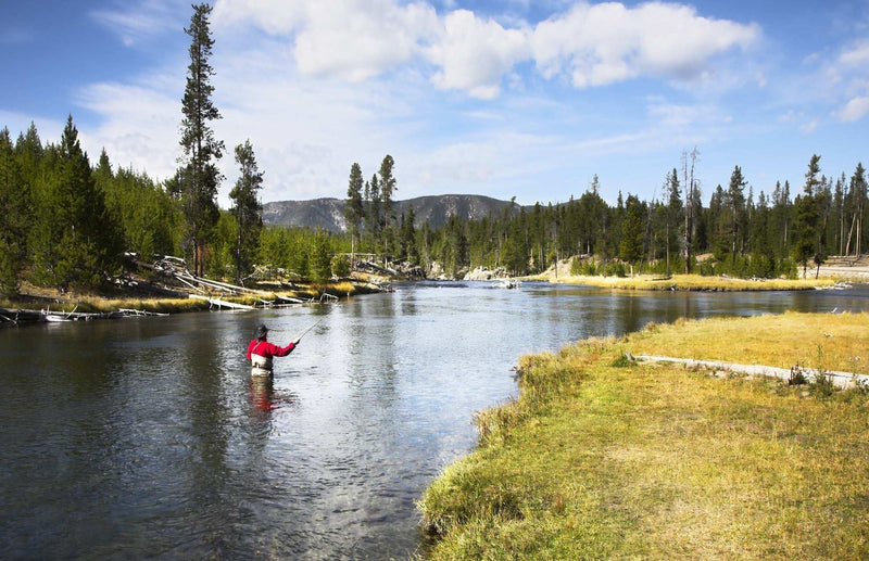 Beadhead Red 3 Dollar Dip Serendipity Nymph - 6 Flies Size 16