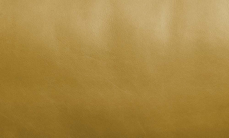 Radia - Sofa With Pillow - Turmeric Top Grain Leather