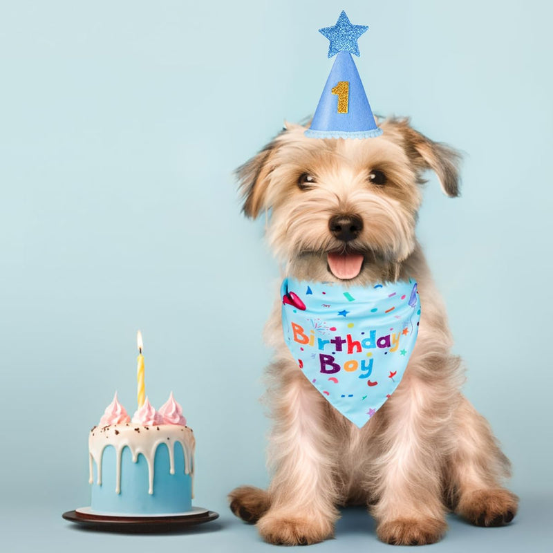 Dog Birthday Party Supplies – Premium Bandana & Hat Set for Dogs